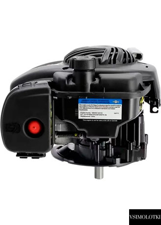 Двигатель бензиновый B&S 450 E FIX-GAS (454930) 454930 фото