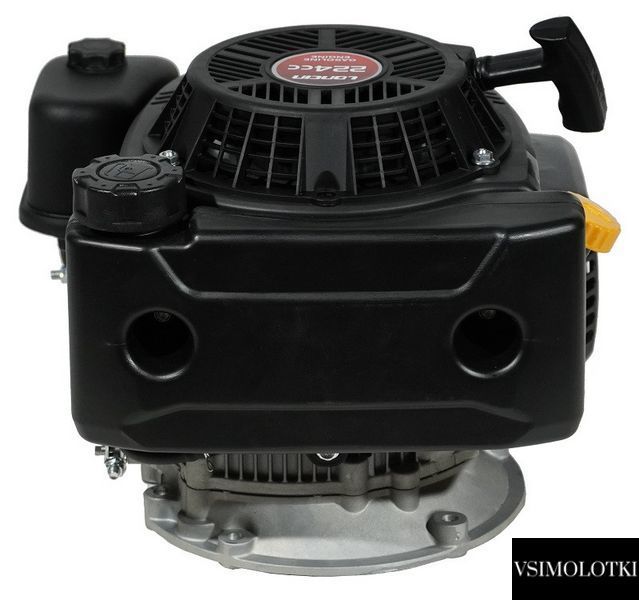 Двигатель бензиновый PRO 225 LC1P75F (493099) 493099 фото