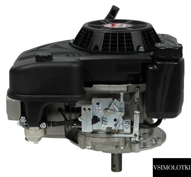 Двигатель бензиновый PRO 225 LC1P75F (493099) 493099 фото