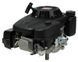 Двигатель бензиновый PRO 225 LC1P75F (493099) 493099 фото 4
